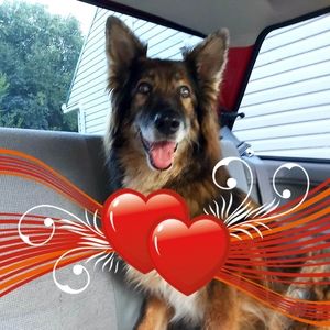 Meet your Posher, Tanya